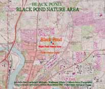  USGS Map showing the location of Black Pond.
